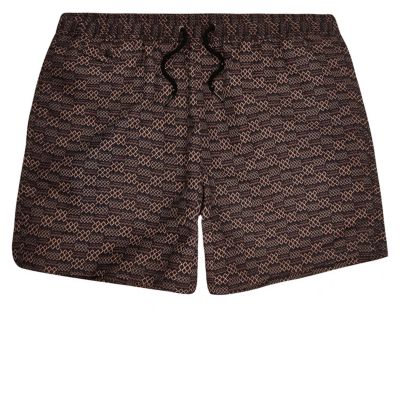Brown printed swim shorts